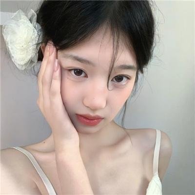 警花燕子