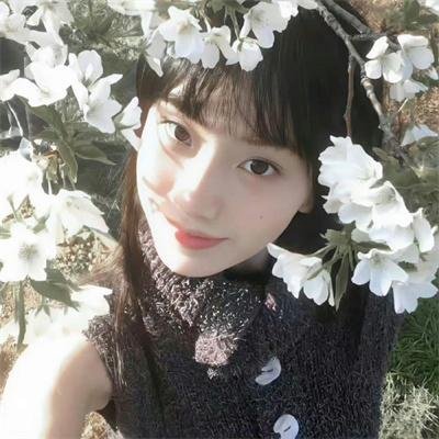 三生三世十里桃花2017